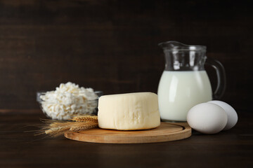 Concept of tasty food - different dairy products