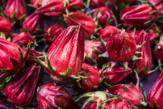 Textures of Red Roselle fruit and flower (Jamaica sorrel, Rozelle or hibiscus sabdariffa). Concept for Herbal drinks, Alternative medicine, Farming, Home Industry, Healthy food, and Relaxation.