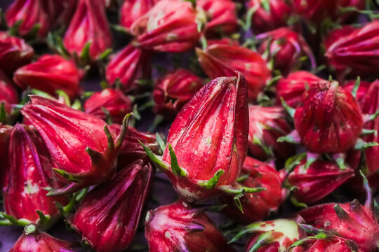 Textures of Red Roselle fruit and flower (Jamaica sorrel, Rozelle or hibiscus sabdariffa). Concept for Herbal drinks, Alternative medicine, Farming, Home Industry, Healthy food, and Relaxation.