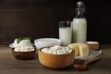 Concept of tasty food - different dairy products