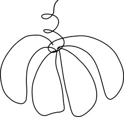 Pumpkin hand drawn one line art illustration