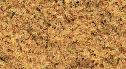 trees in the forest, top view, area view,  3D illustration, cg render