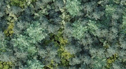 trees in the forest, top view, area view,  3D illustration, cg render
