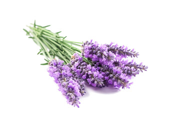 Lavender flowers isolated on white background with clipping path. Full Depth of field. Focus stacking. PNG. Generative AI