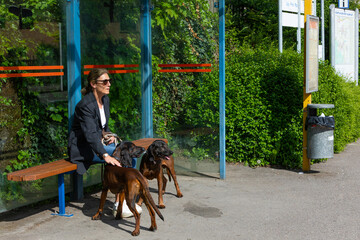woman waits with her dogs at a bus station