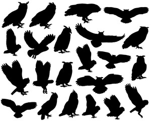 Collection of silhouettes of owls and eagle-owls birds
