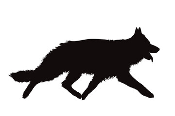 Vector silhouette of Germam Shepherd on white background. Symbol of dog and pet.