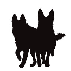 Vector silhouette of German Shepherd on white background.