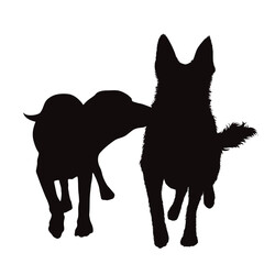 Vector silhouette of German Shepherd with Labrador retriever on white background.