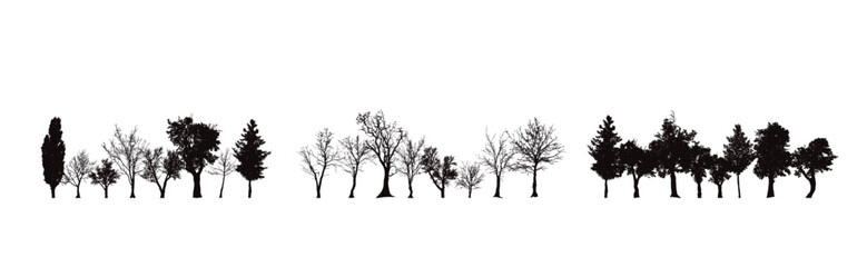 Set of vector silhouette of trees on white background.