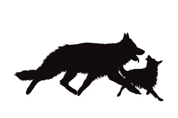Vector silhouette of German Shepherd and Border Collie on white background.