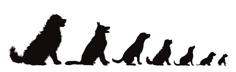 Vector silhouette of group of dogs on white background.
