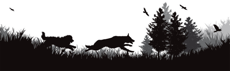 Obraz premium Vector silhouette of happy dogs running in nature.