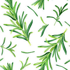 Watercolor seamless pattern with rosemary herb. Botanical illustration isolated on white for wrapping, wallpaper textile