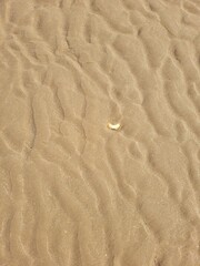 Sable