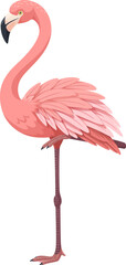 Beautiful graceful pink flamingo with lush plumage stands on one leg. Tropical bird vector illustration isolated on white background.