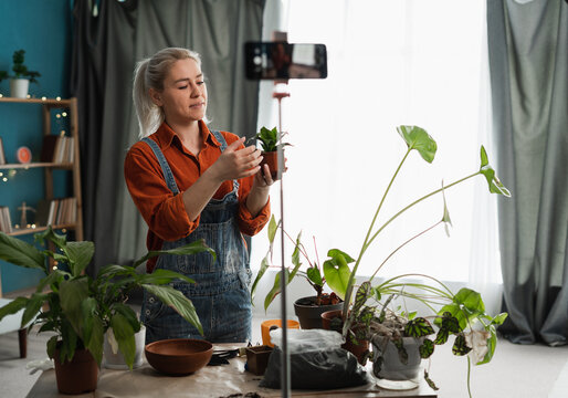 Woman blogger enjoying botany in front of smartphone camera on tripod recording learning video for her blog filming process of transplanting flowers and green plants into a pot
