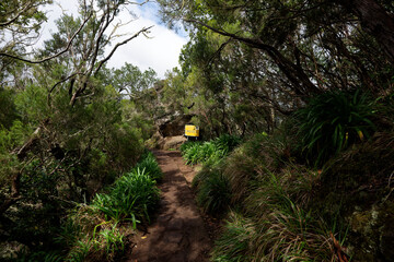 Portugal - Madeira - Ribeiro Frio - Miradouro dos Balcões