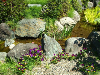 ビオラ咲く日本庭園の水辺風景