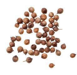 dry coriander seeds on white background.