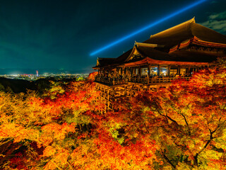 【観光】夜にライトアップした秋の京都の清水寺
