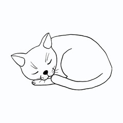 Cute cat is sleeping. Doodle vector isolated on white background
