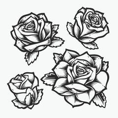 rose flower black and white drawing