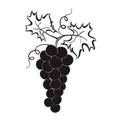 Fototapeta premium bunch of grapes