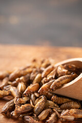 edible bugs, silkworms, in wooden desk, close up. Asian food