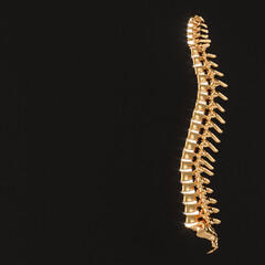 gold spine with luminous discs on a black background.