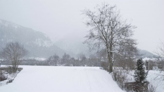 Slow motion - snowing and skiers in meadow at base of mountains in Bavaria