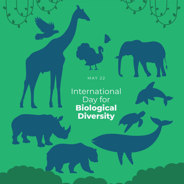 International Day for Biological Diversity design template for celebration. animals and plants vector illustration. biodiversity vector design. flat animals and plants vector illustartion.