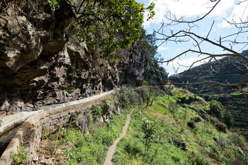 Fototapeta na wymiar Portugal - Madeira - Levada do Norte