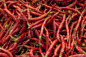 Spicy, red pepper and grocery with chillies in supermarket for organic food, shopping and health. Mexican, plant and heat with hot vegetable ingredient in store for seasoning, paprika and nutrition