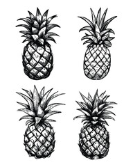 Fototapeta premium Pineapple Fruit Hand Drawing Style Vector Illustration