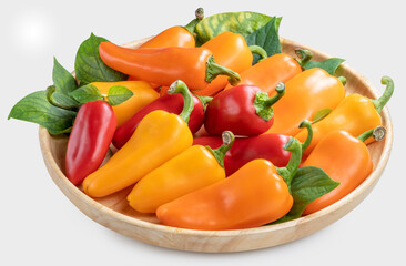 Mixed Color Sweet bite Peppers  or Bell pepper on wooden plate Isolate on white background with clipping path.