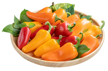 Mixed Color Sweet bite Peppers  or Bell pepper on wooden plate  on white background PNG File.