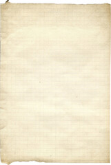 Vintage Paper with Distressed Texture and Torn Aged Edges: Rustic Brown