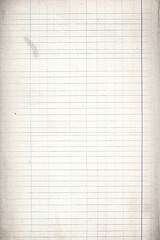 Vintage Paper with Distressed Texture and Torn Aged Edges: Rustic Brown