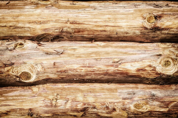 Large wooden wall texture from freshly cut logs of tree trunks. Abstract nature backgrounds