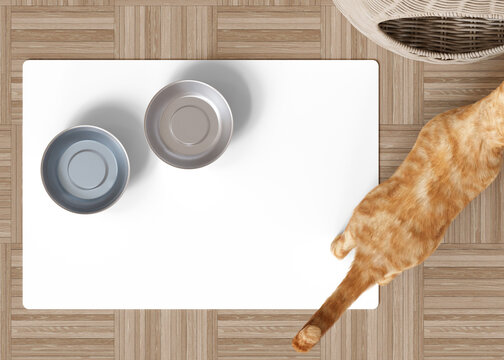 Pet bowl mat on the floor at home. Transparent PNG. Cat food pad with copy space for picture or text. Water mat mock up. Pet placemat mockup. Puppy feeding place. 3D Rendering.