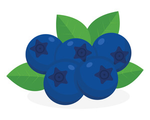 Blueberries with leaves flat vector illustration on white transparent background for label and design