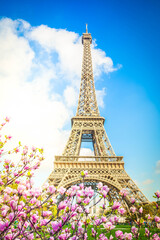 Fototapeta na wymiar Eiffel Tower and Paris cityscape