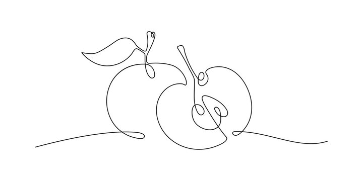 Continuous one line drawing apple and apple half. Farmer market Logo concept. Abstract hand drawn fruit by one line. Minimalist black line sketch on white. Fashionable natural food vector illustration