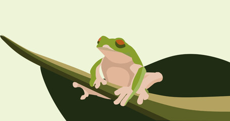 a frog sitting on a leaf 