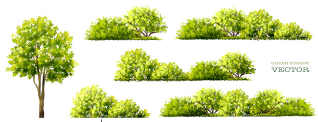 set of green tree, Vector of green grass or shrub isolated on white background,tree elevation for landscape concept,environment panorama scene,eco design,meadow for spring