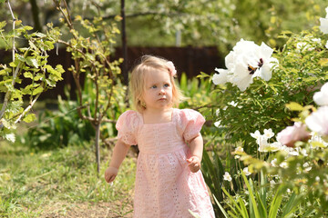 little child in the park. little girl in a field of flowers