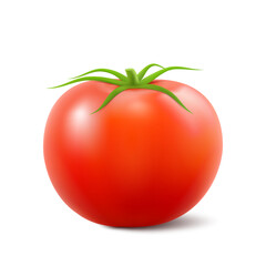 Red fresh tomato with green stem isolated on white background, side view, Print, template, design element for packaging. Realistic 3d vector illustration. Natural texture