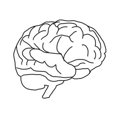 Brain Biology medical organ hand drawn doodle