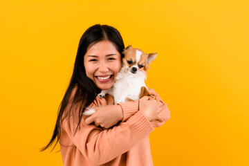 Fototapeta na wymiar Cute Asian woman with his chihuahua chihuahua dog lover The happiness of a girl who loves his dog The love of people and cute dogs photo shoot in orange studio